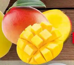 Handelshof Mango Angebot