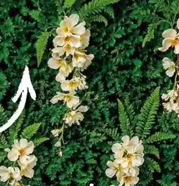 Hornbach Pflanzenwand Tropical Flair Angebot