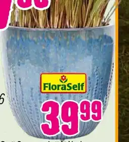 Hornbach FloraSelf Pflanztopf Bavaria Angebot