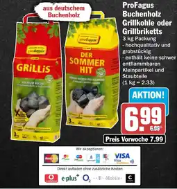 HIT ProFagus Buchenholz Grillkohle oder Grillbriketts Angebot