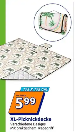 Action Xl-picknickdecke Angebot