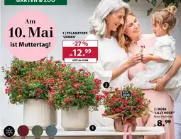 Dehner Pflanztopf 'urban' Angebot