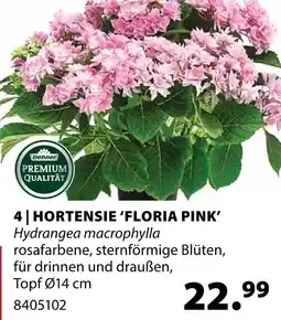 Dehner Dehner hortensie 'floria pink' Angebot