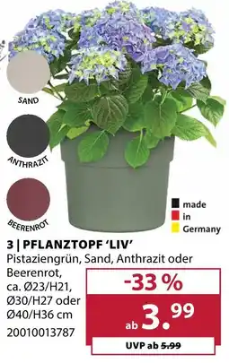 Dehner Pflanztopf 'liv' Angebot
