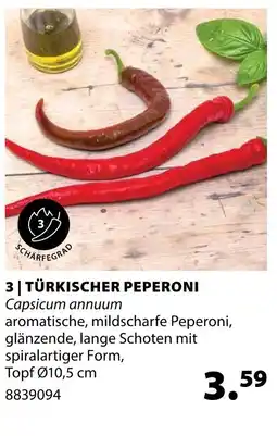 Dehner Türkischer peperoni Angebot