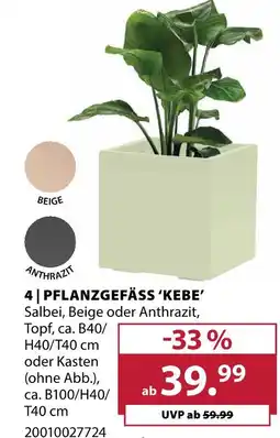 Dehner Pflanzgefäß kebe Angebot