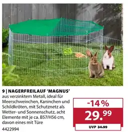 Dehner Nagerfreilauf magnus Angebot
