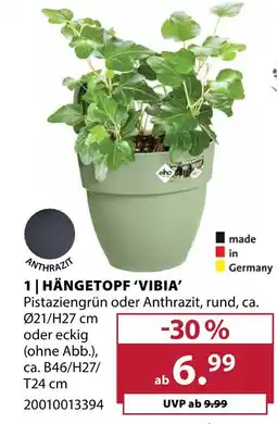 Dehner Hängetopf vibia Angebot