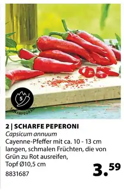 Dehner Scharfe peperoni Angebot