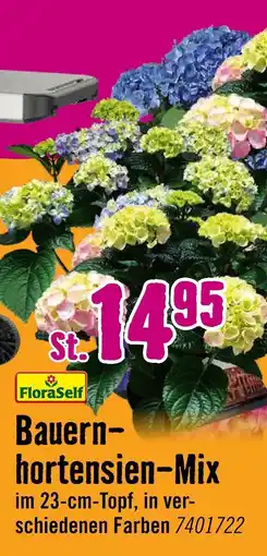 Hornbach Floraself bauernhortensien-mix Angebot