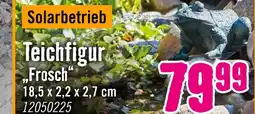 Hornbach Teichfigur 'frosch' Angebot