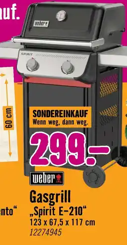 Hornbach Weber gasgrill spirit e-210 Angebot