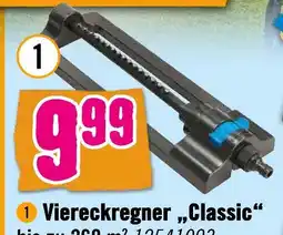 Hornbach Viereckregner classic Angebot