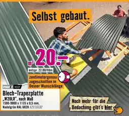 Hornbach Preci roof blech-trapezplatte w20lr Angebot
