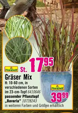 Hornbach Floraself gräser mix Angebot