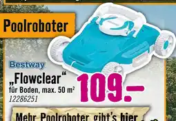 Hornbach Bestway flowclear Angebot