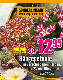 Hornbach Floraself hängepetunie Angebot