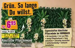 Hornbach Hornbach künstliche pflanzenwand tropical flair Angebot