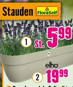 Hornbach Floraself rosa lavendel „felice“ Angebot