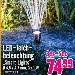 Hornbach Led-teichbeleuchtung smart lights Angebot