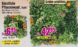 Hornbach Künstliche pflanzenwand thallo Angebot