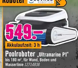 Hornbach Poolroboter ultramarine p1 Angebot