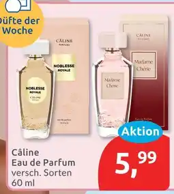 Budni Câline eau de parfum Angebot