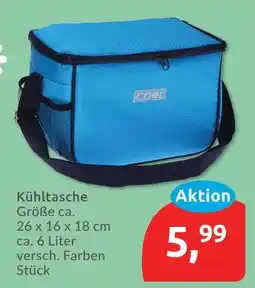Budni Kühltasche Angebot