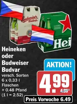 HIT Heineken oder Budweiser Budvar Angebot