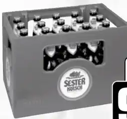 HIT Sester Kölsch Angebot