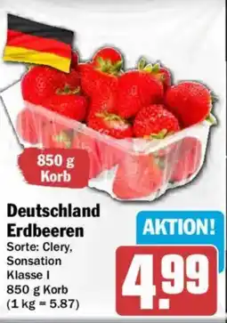 AEZ Deutschland Erdbeeren Angebot