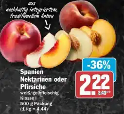 AEZ Spanien Nektarinen oder Pfirsiche Angebot