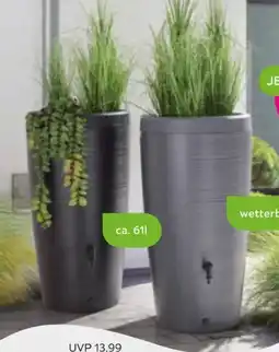 Mömax Regenwasser Behälter GUBO Angebot