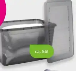 Mömax Box mit deckel Leo Angebot