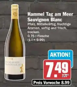 AEZ Hammel Tag am Meer Sauvignon Blanc Angebot