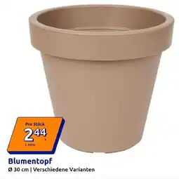 Action Blumentopf Angebot