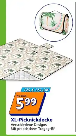 Action XL-Picknickdecke Angebot
