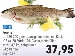 CITTI Markt Forelle Angebot