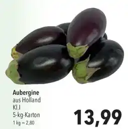 CITTI Markt Aubergine Angebot