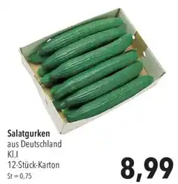 CITTI Markt Salatgurken Angebot