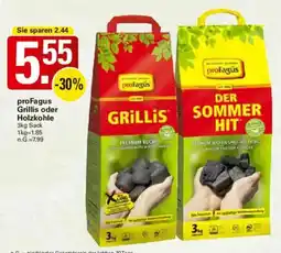 WEZ proFagus Grillis oder Holzkohle Angebot