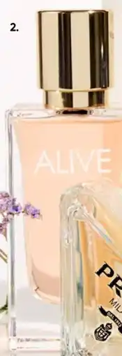 Galeria BOSS ALIVE Lavender Angebot