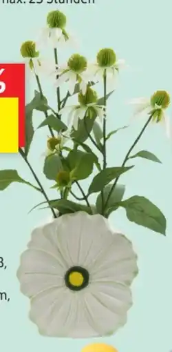 SCONTO Home Story Vase Blume Angebot