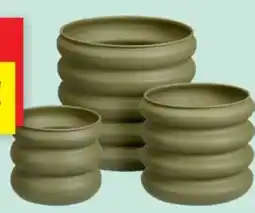 SCONTO Blumentopf Angebot