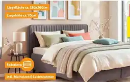 SCONTO Polsterbett Angebot