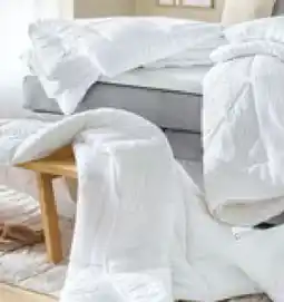 SCONTO Como Leicht-Steppbett Lina Angebot
