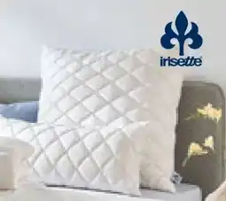 SCONTO Irisette Kopfkissen Maila Angebot