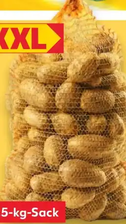 Kaufland Speisekartoffeln XXL Angebot