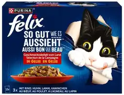 Kaufland Purina Felix Katzennahrung Angebot