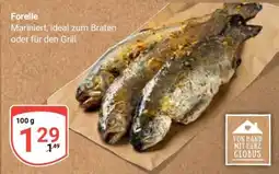 Globus Forelle Angebot